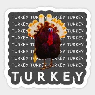 wkrp turkey drop shirt Sticker